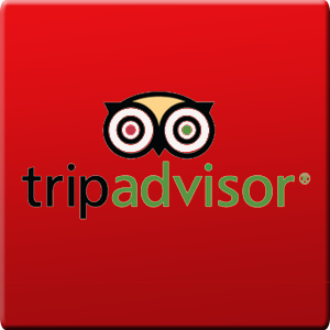 trip advisor